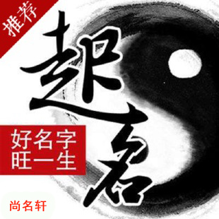 成武宝宝起名