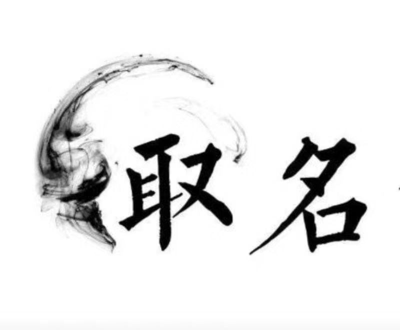  成武宝宝取名 大师一对一人工起名